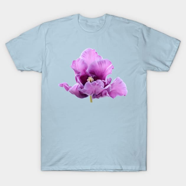 Tulipa 'Blue Parrot' Parrot Group Tulip T-Shirt by chrisburrows